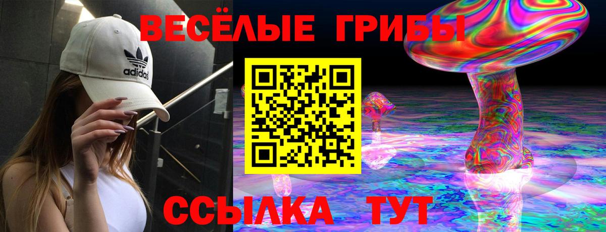 Псилоцибиновые грибы Magic Shrooms  Псилоцибиновые грибы мицелий  Заринск  Вход с VPN 